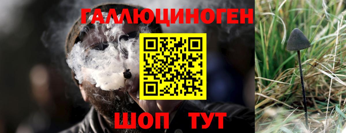 Псилоцибиновые грибы прущие грибы  Вход с VPN  Выкса  Галлюциногенные грибы Cubensis 
